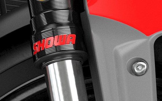 Gebrauchtmotorrad Triumph Trident 660 - Bild 14