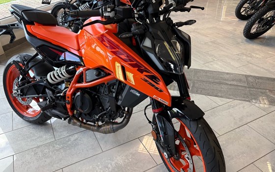 Neufahrzeug KTM 390 Duke - Bild 1