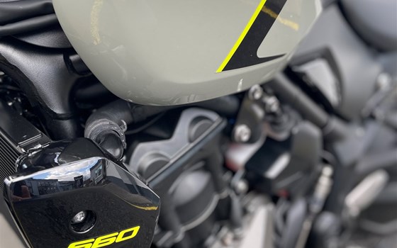 Neufahrzeug Triumph Trident 660 - Bild 7