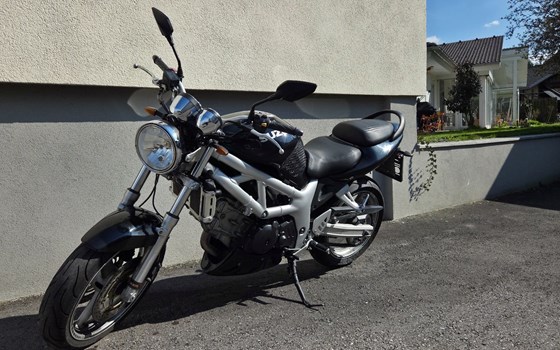 Gebrauchtmotorrad Suzuki SV650 - Bild 1