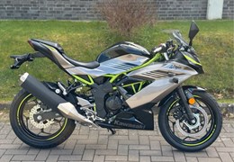 Neumotorrad Kawasaki Ninja 125