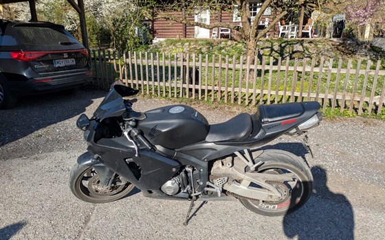 Gebrauchtmotorrad Honda CBR600RR - Bild 2