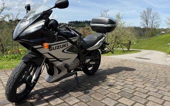 Gebrauchtmotorrad Suzuki GS 500F - Bild 3