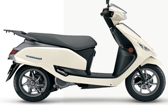 Neufahrzeug Suzuki e-Address - Bild 1