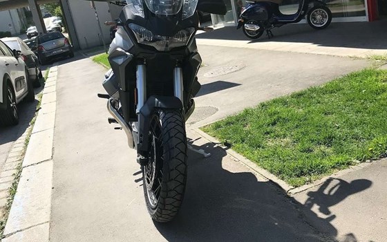 Neufahrzeug Moto Guzzi Stelvio - Bild 2