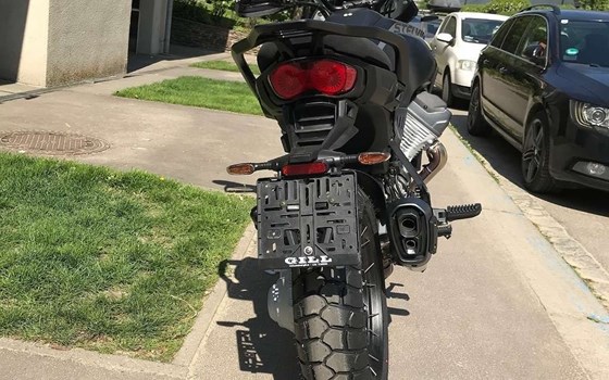 Neufahrzeug Moto Guzzi Stelvio - Bild 3