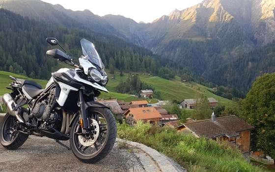 Motorrad Occasion Triumph Tiger 1200 Alpine Edition - Bild 2