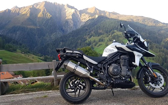 Motorrad Occasion Triumph Tiger 1200 Alpine Edition - Bild 1