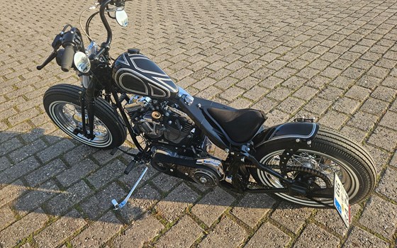 Gebrauchtmotorrad Harley-Davidson Softail Springer FXSTS - Bild 12