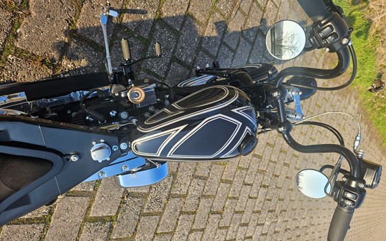 Gebrauchtmotorrad Harley-Davidson Softail Springer FXSTS - Bild 22