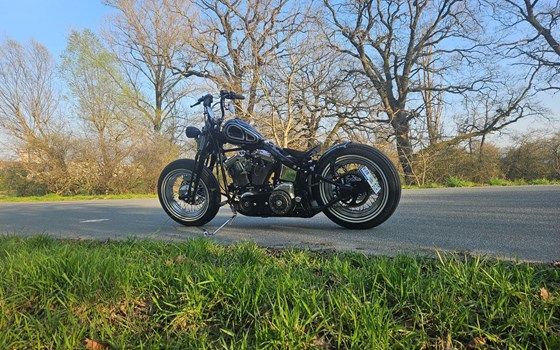 Gebrauchtmotorrad Harley-Davidson Softail Springer FXSTS - Bild 3