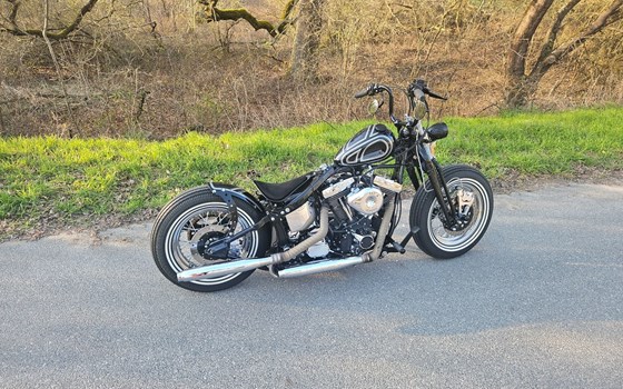 Gebrauchtmotorrad Harley-Davidson Softail Springer FXSTS - Bild 4