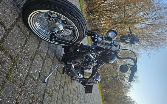 Gebrauchtmotorrad Harley-Davidson Softail Springer FXSTS - Bild 7