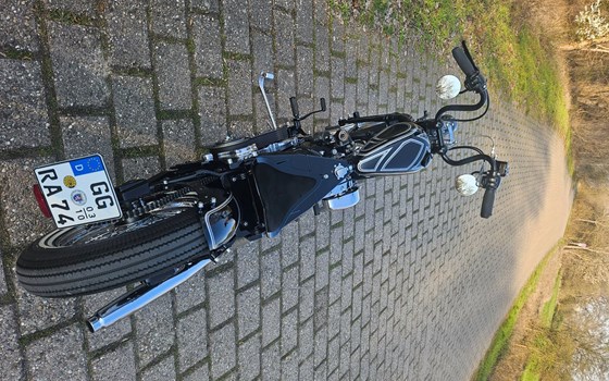 Gebrauchtmotorrad Harley-Davidson Softail Springer FXSTS - Bild 8