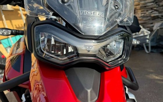 Gebrauchtmotorrad Triumph Tiger 900 GT Pro - Bild 2