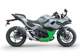 Neumotorrad Kawasaki KLE500 SE