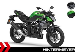 Neumotorrad Kawasaki Z125