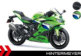 Neumotorrad Kawasaki Ninja ZX-4RR