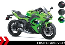 Neumotorrad Kawasaki Ninja 650