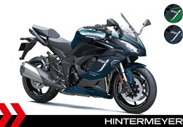 Neumotorrad Kawasaki Ninja 1100SX SE