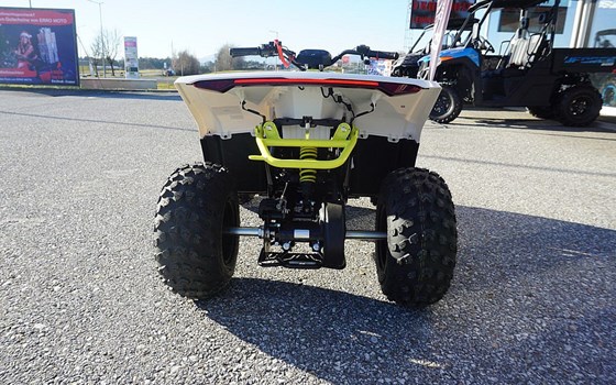 Neufahrzeug CFMOTO CForce 110 - Bild 6