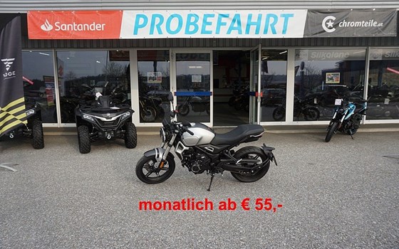 Neufahrzeug Voge Trofeo 350i ABS - Bild 2