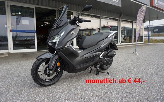 Neufahrzeug Voge SR1 125i ABS - Bild 10