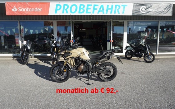 Neufahrzeug Voge Valico 625i DSX - Bild 2