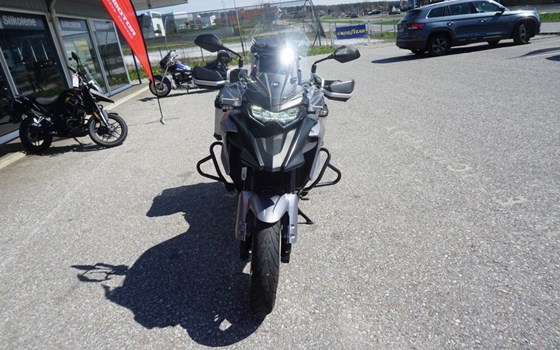 Gebrauchtmotorrad QJ Motor SRT 700 - Bild 6