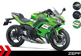 Neumotorrad Kawasaki Ninja 650