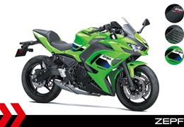 Neumotorrad Kawasaki Ninja 650
