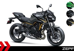 Neumotorrad Kawasaki Z650 S