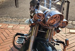 Occasion Harley-Davidson Softail Deluxe FLSTN