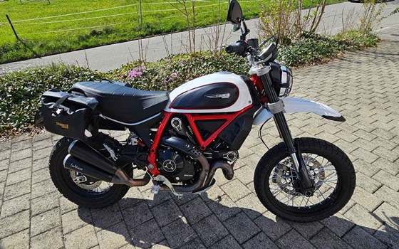 Motorrad Occasion Ducati Scrambler Desert Sled - Bild 1