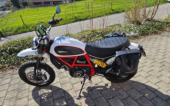 Motorrad Occasion Ducati Scrambler Desert Sled - Bild 2