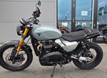 Angebot Triumph Scrambler 900