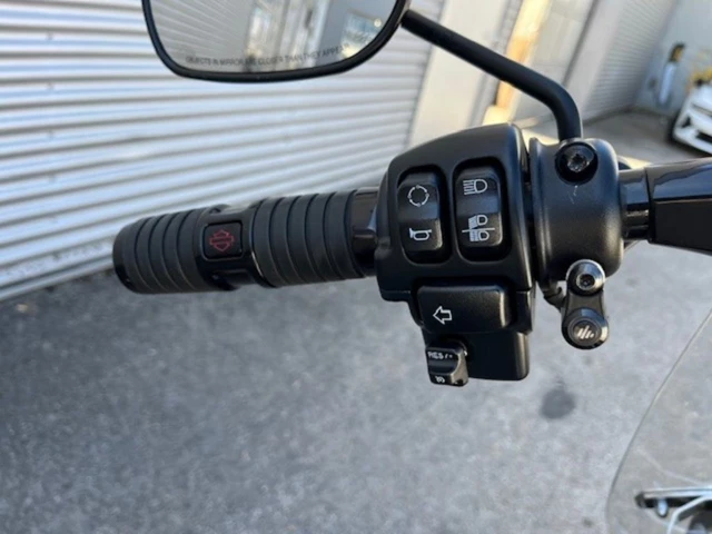 Harley-Davidson Softail Fat Boy 114 FLFBS (schwarz) - Bild 13