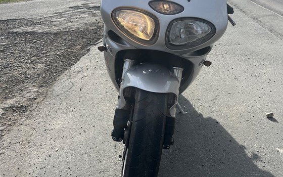 Gebrauchtmotorrad Triumph Daytona 955i - Bild 2