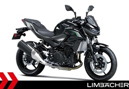 Neumotorrad Kawasaki Z 500