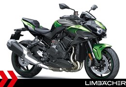 Neumotorrad Kawasaki Z H2