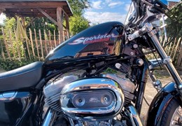 Gebrauchte Harley-Davidson Sportster XL 883