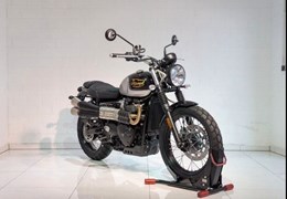 Gebrauchte Triumph Scrambler 900 Icon Edition