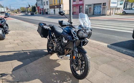 Gebrauchtmotorrad Triumph Tiger 800 XR - Bild 2