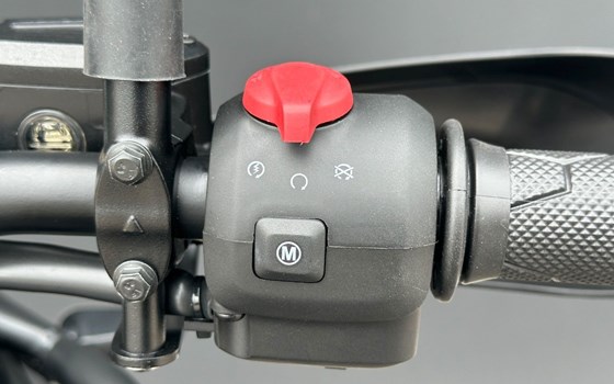Neufahrzeug Royal Enfield Himalayan 450 - Bild 26