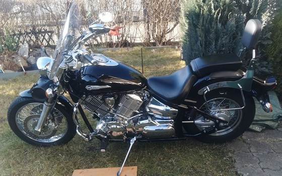 Gebrauchtmotorrad Yamaha XVS 1100 Drag Star Classic - Bild 5