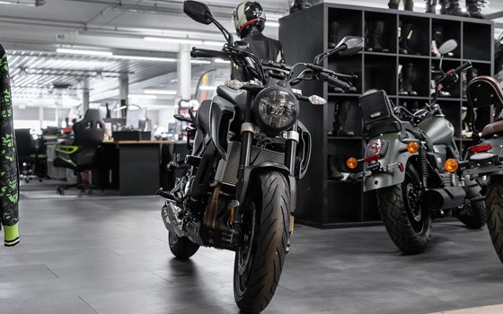 Neufahrzeug Motobi DL 400 Naked - Bild 2