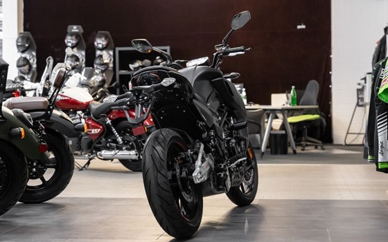 Neufahrzeug Motobi DL 400 Naked - Bild 6