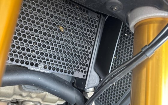 Gebrauchtmotorrad Ducati Multistrada V4 RS - Bild 5