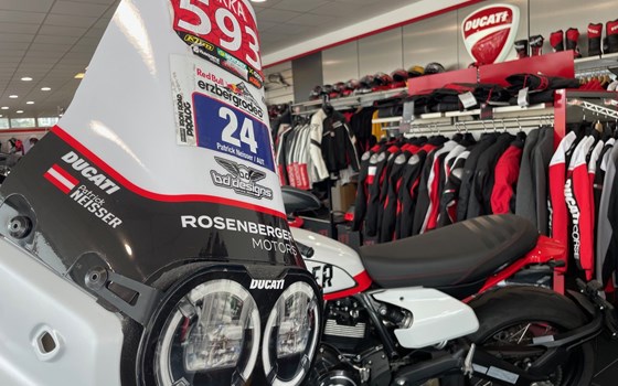 Gebrauchtmotorrad Ducati DesertX - Bild 3