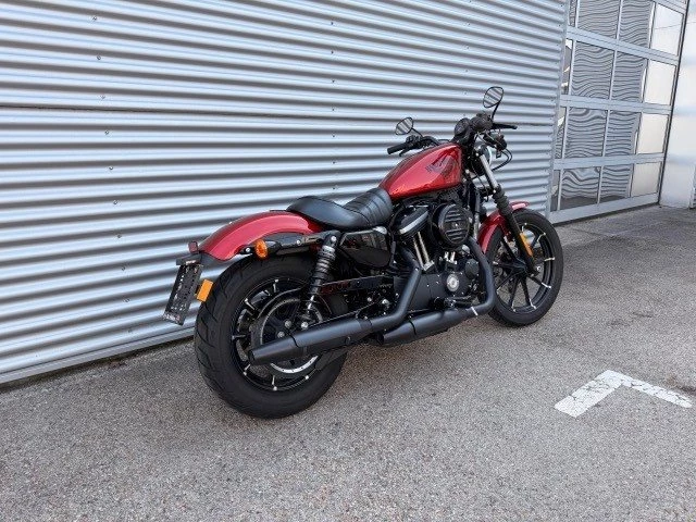 Harley-Davidson Sportster XL 883 N Iron (Wicked Red) - Bild 3